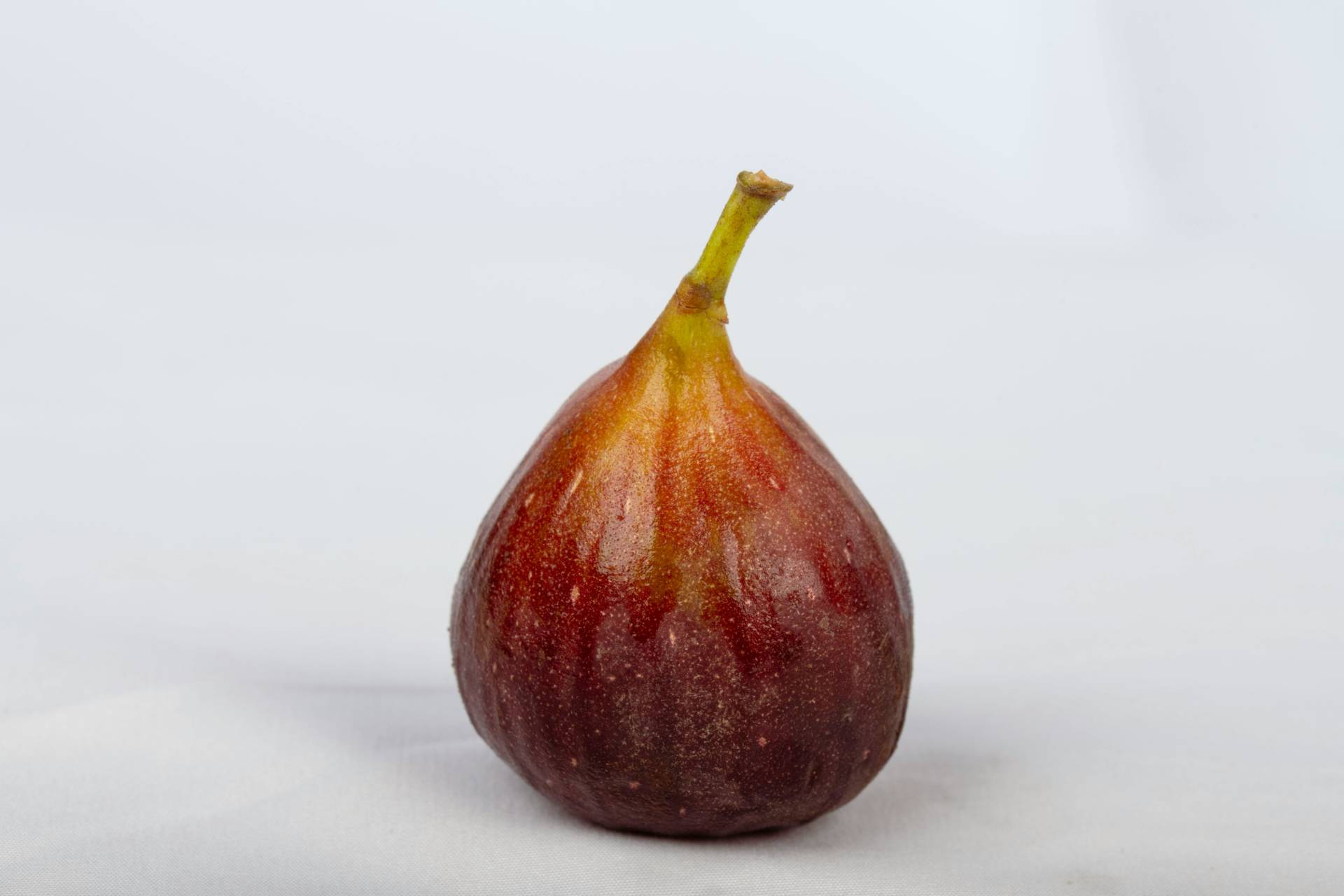 Summer Reset: Baseline Health Screening