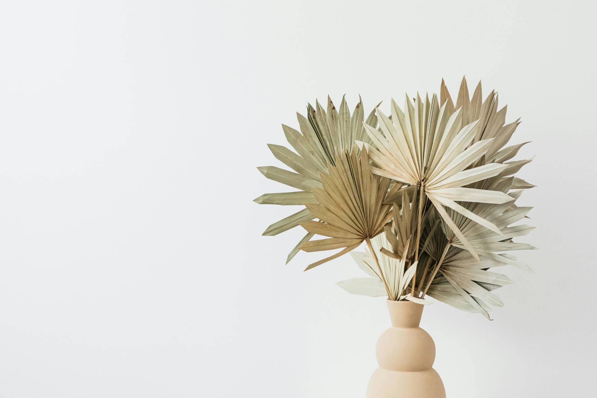Autumn Reset: Beat Fatigue Before It Becomes a Bigger Problem